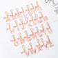 Oranments- letters resin tassels bag charm keychain cup hanger -BCK1038